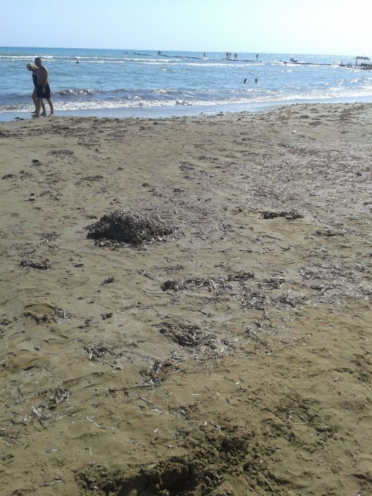 Nicht sauberer Strand PALOMA Perissia