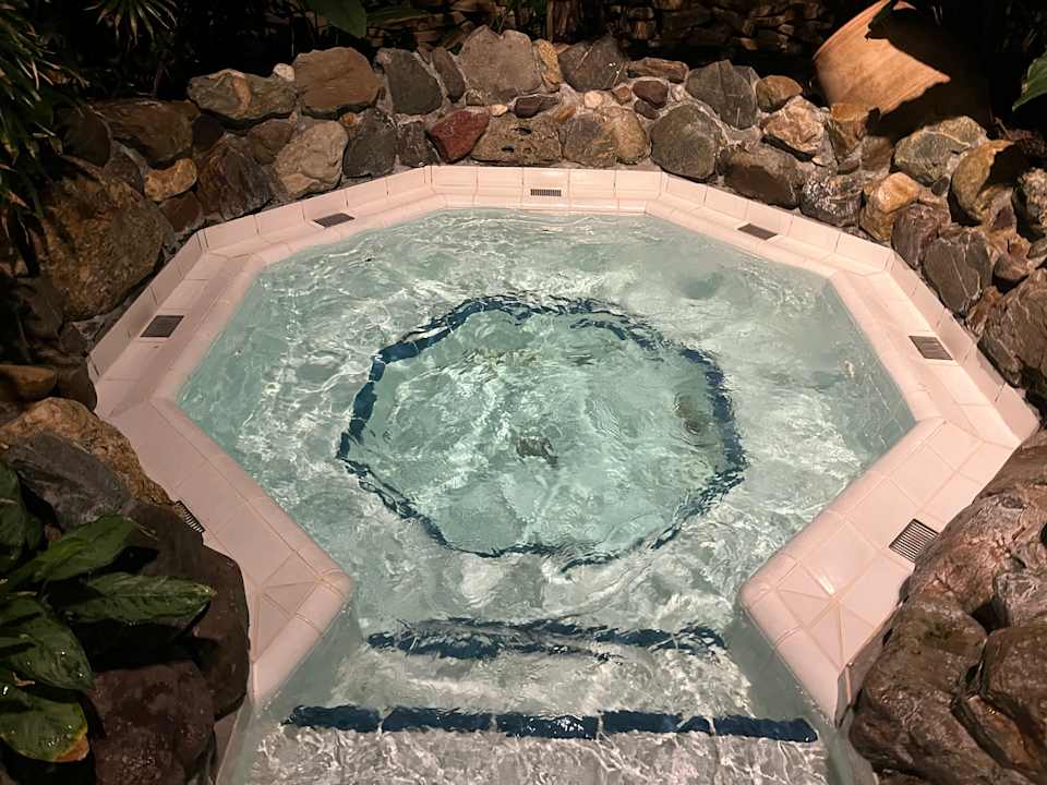 Pool Center Parcs De Kempervennen