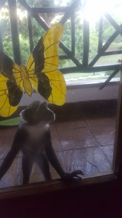 Neugierde auf Balkon Hotel Papillon Lagoon Reef