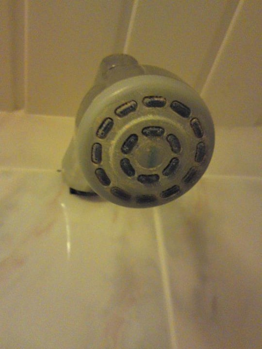 Verdreckter und verkalkter Duschkopf OYO Apollo Hotel Bayswater