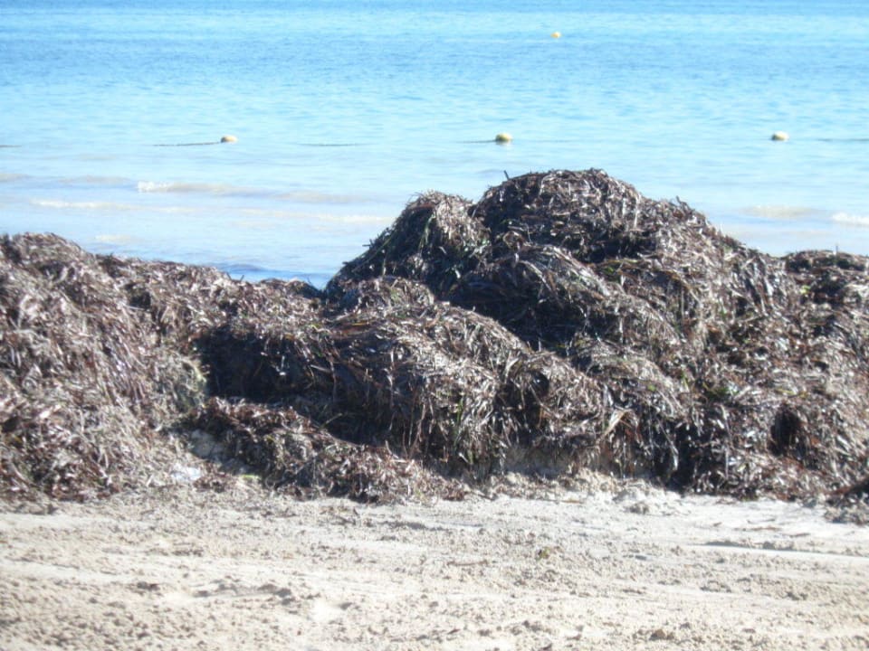 Nach der Reinigung Lella Meriam Hotel & Club