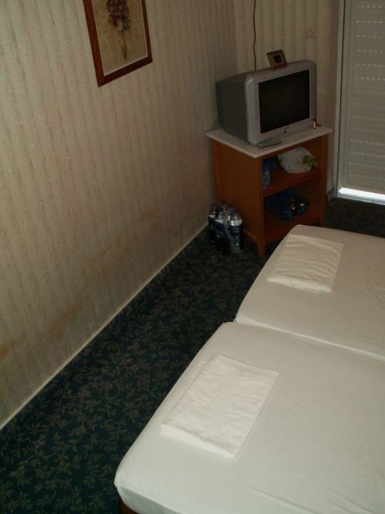 Schimmelige Wände Hotel Crithoni's Paradise