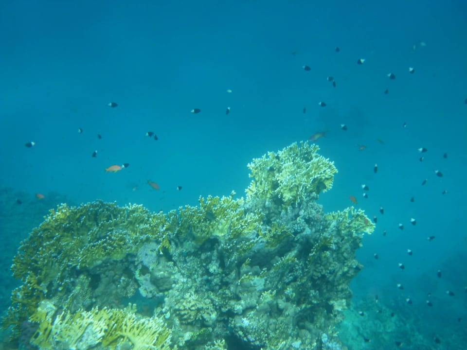 Riff Three Corners Equinox Beach Resort