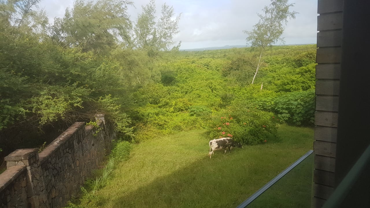 Garten Radisson Blu Poste Lafayette Resort & Spa - Adults only