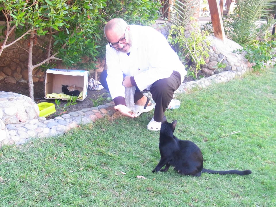 Der Tierarzt der neu in der Anlage ist! So super! Arabia Azur Resort