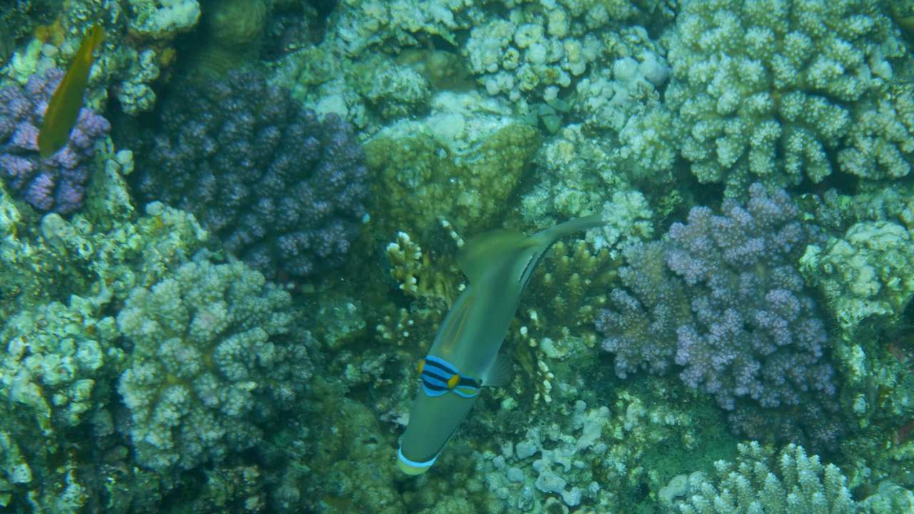 Sonstiges Casa Mare Resort
