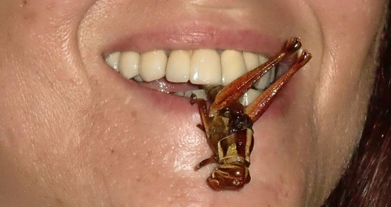 Es schmeckt gut total Lecker  Punnpreeda Beach Resort