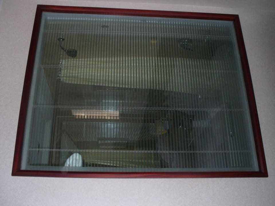 Blick in das verglaste Bad Radisson Blu Hotel Shanghai New World