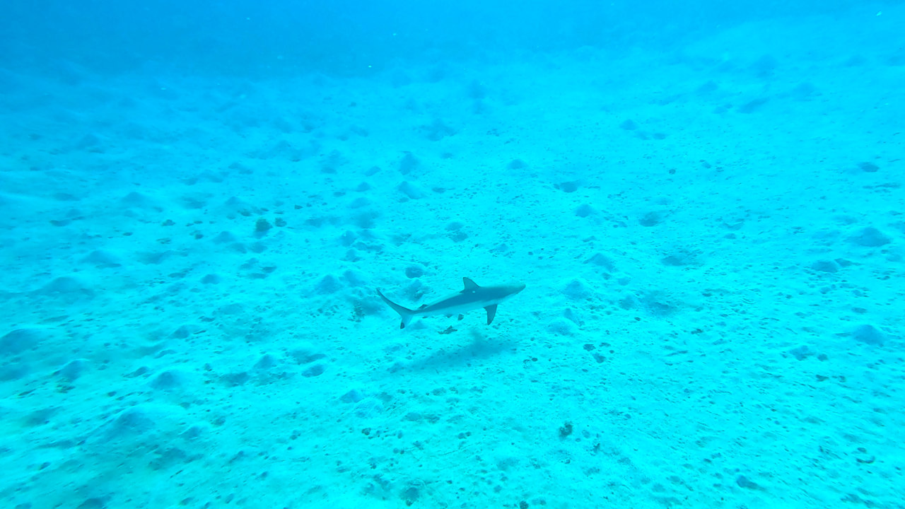 Sonstiges Jaz Makadi Oasis Resort