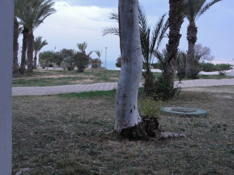 Garten Hotel El Mouradi Djerba Menzel