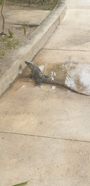 Sonstiges Akumal Bay Beach & Wellness Resort