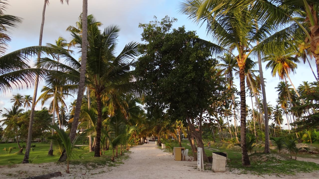 Weg zum Hotelstrand Villas Bavaro Resort & Spa