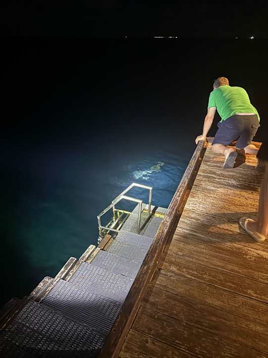 Sonstiges Adaaran Select Meedhupparu Island Resort - Premium All Inclusive