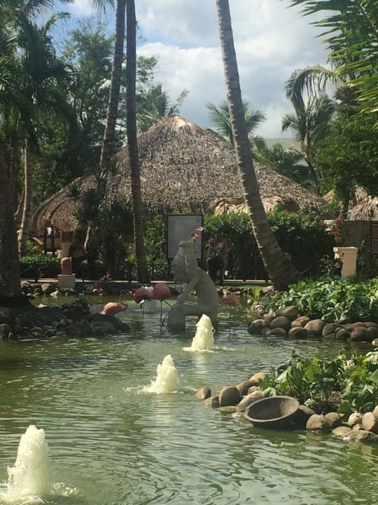 Gartenanlage Wyndham Alltra Punta Cana
