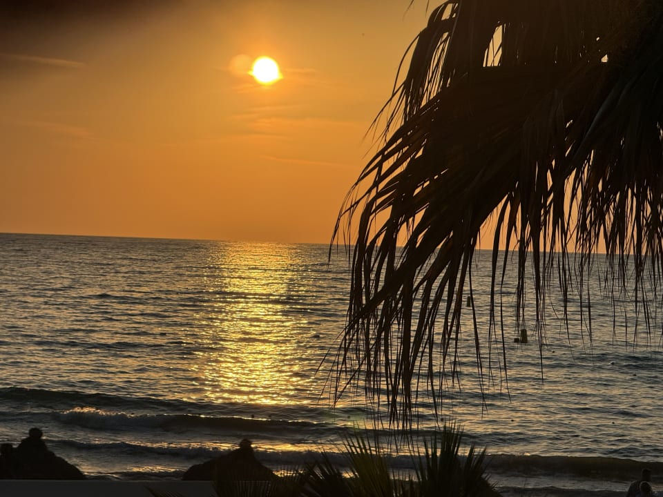 Ausblick Palm Wings Kusadasi Beach Resort & Spa