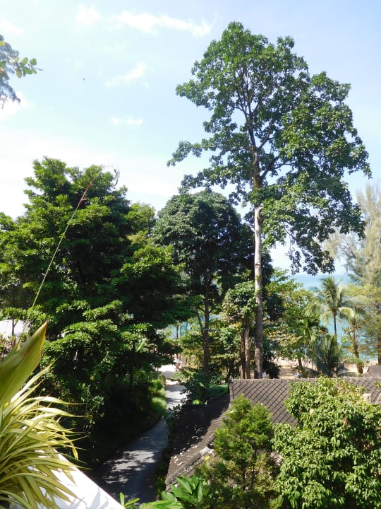 Außenansicht Moracea by Khao Lak Resort