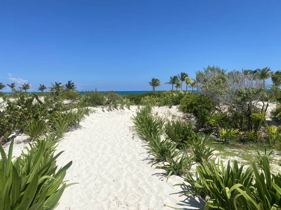 Strand Hotel Riu Dunamar