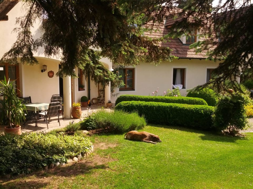 Vorgarten Hotel Ilkerl Weinberghof