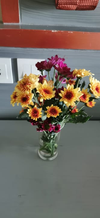 Sonstiges Maikhao Palm Beach Resort