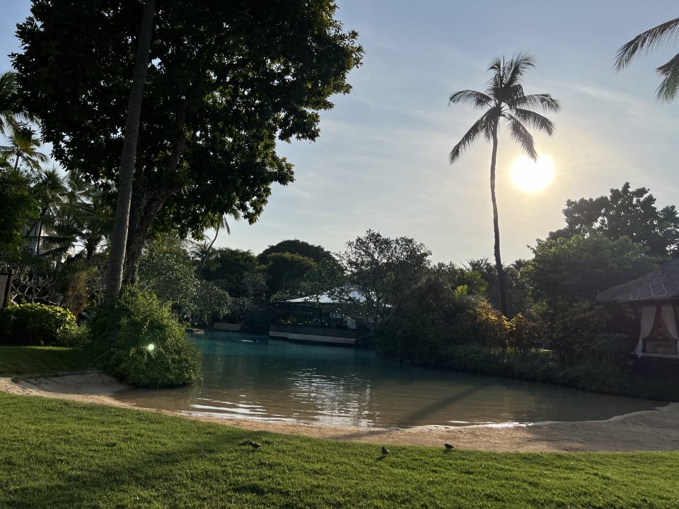 Pool The Laguna A Luxury Collection Resort & Spa