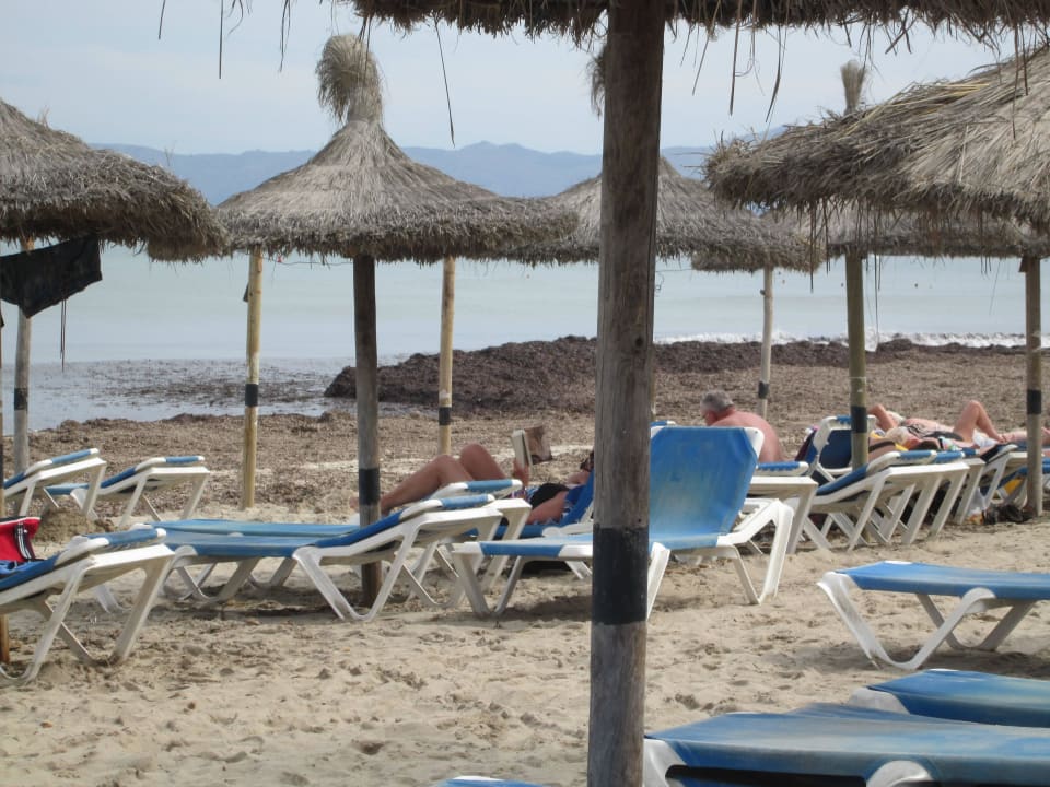 Leider viel Dreck nach dem Sturm The Sea Hotel by Grupotel - Adults only