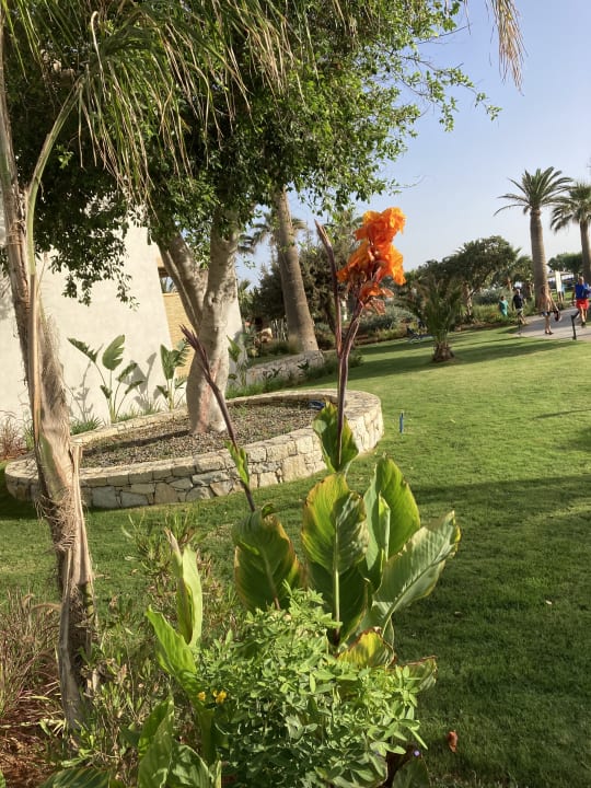 Gartenanlage Anissa Beach & Village
