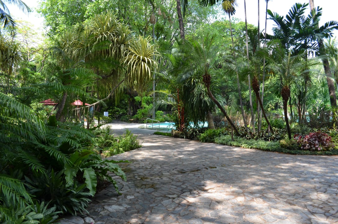 Hotel Swissotel Nai Lert Park Movenpick BDMS Wellness Resort Bangkok