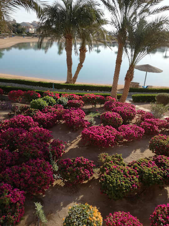 Ausblick Mövenpick Resort & Spa El Gouna