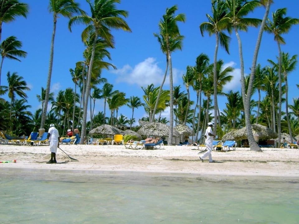 Ein Toller Strand Catalonia Punta Cana - All Inclusive