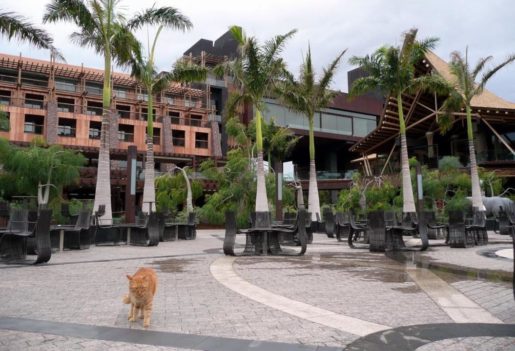 Pool visitor Lopesan Baobab Resort