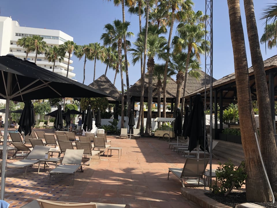 Sonstiges Dreams Jardín Tropical