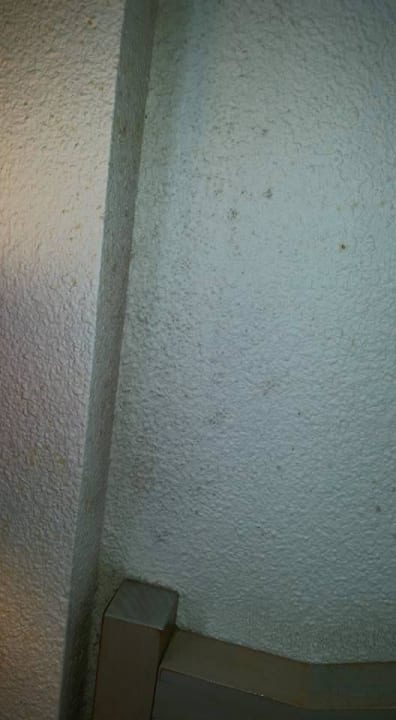 Direkt neben dem Bett!! Igitt! Campanile Val de France