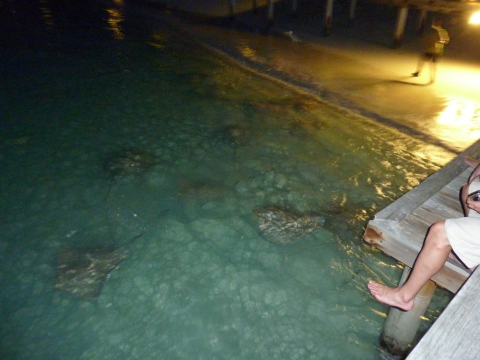 Rochenfütterung Kuramathi Maldives