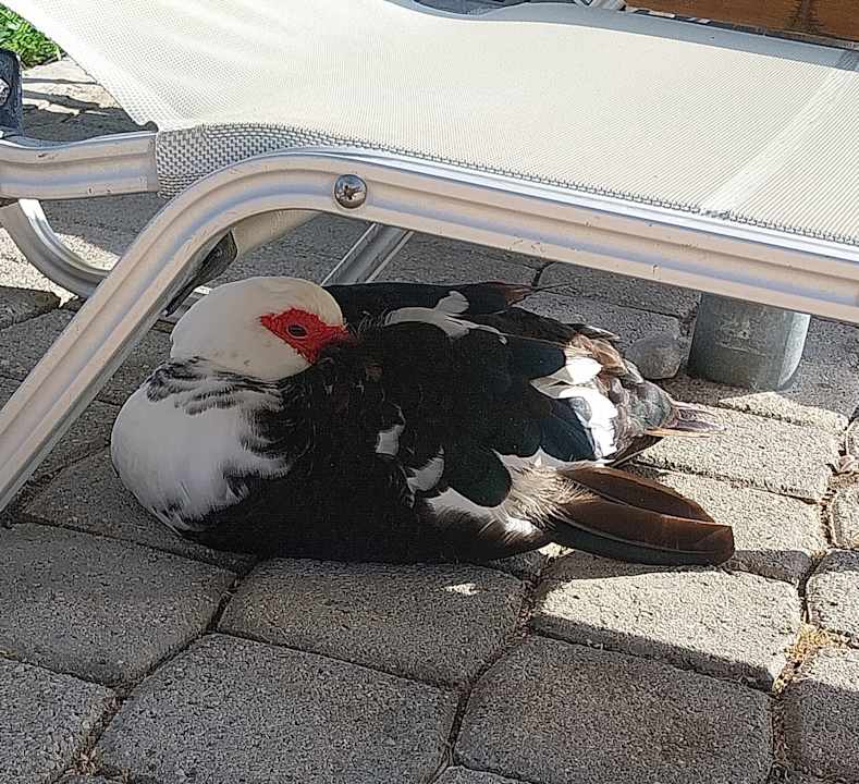 Sonstiges TUI KIDS CLUB Alex Beach