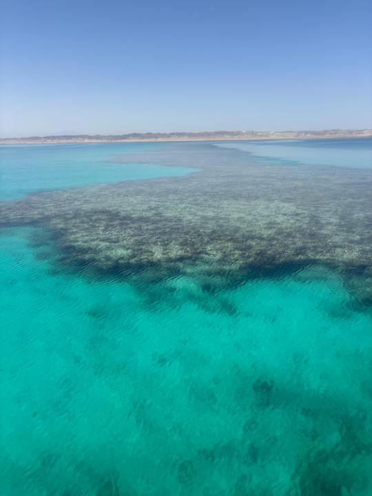 Strand Pickalbatros Palace Hotel-Port Ghalib