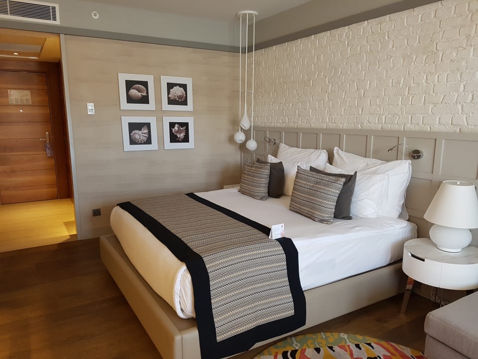 Zimmer Acanthus Cennet Barut Collection