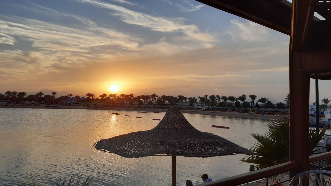 Ausblick Desert Rose