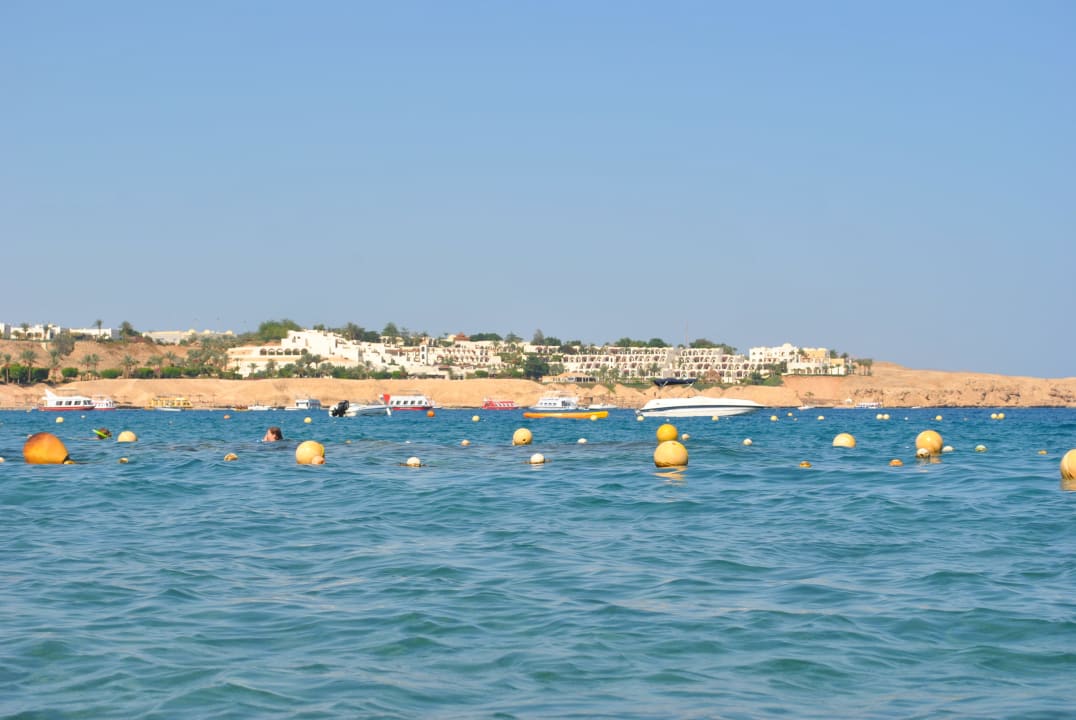 Etwa 30 m im Wasser gestanden Ghazala Gardens
