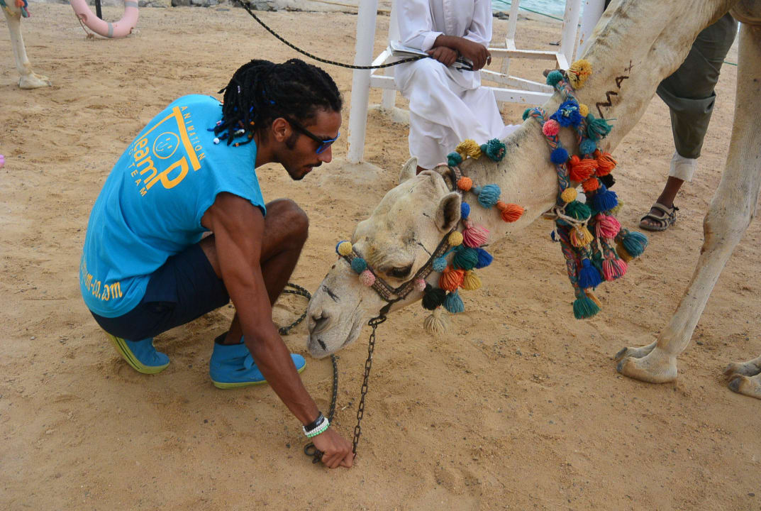 Сим сим  Riviera Aqua Park Resort