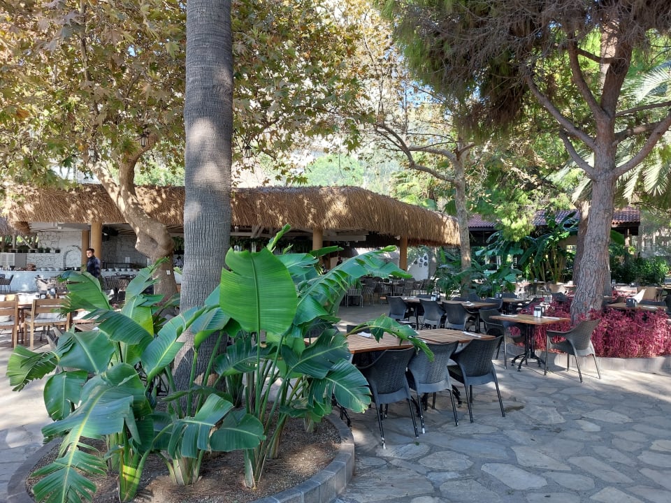 Gastro Barut Hemera