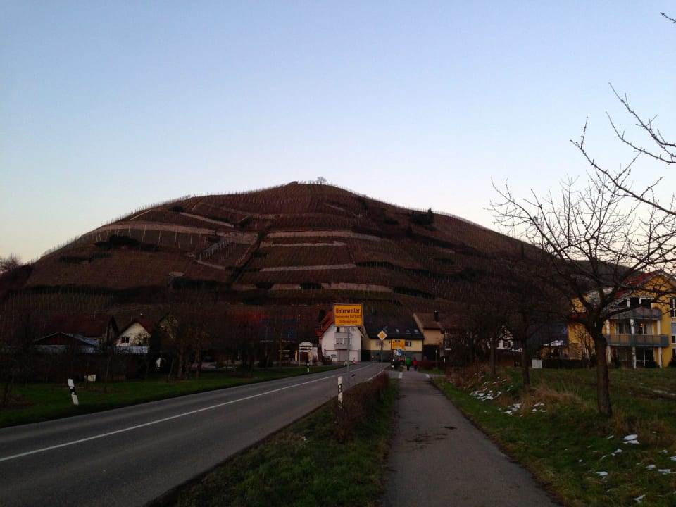 Umgebung - Weinberge Dorint Hotel Durbach/Schwarzwald