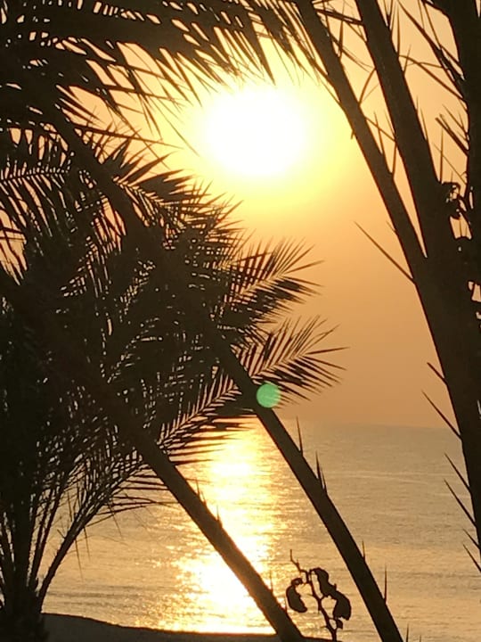 Ausblick Steigenberger Coraya Beach - Adults only