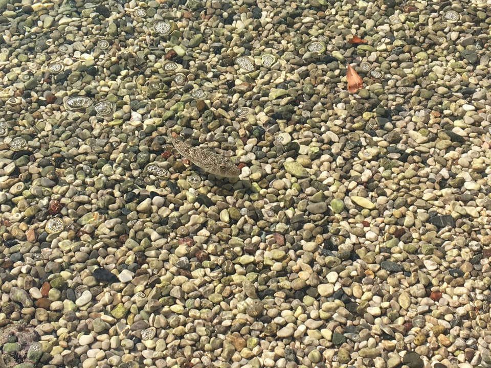 Strand Hillside Beach Club