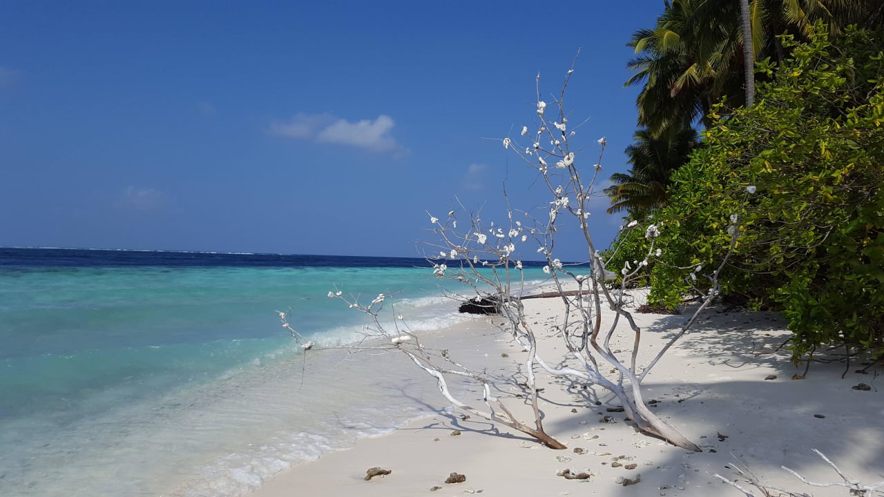 Kalender Motiv Filitheyo Island Resort