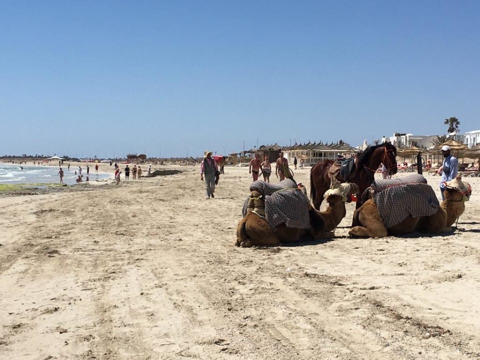 Strand ROBINSON DJERBA BAHIYA
