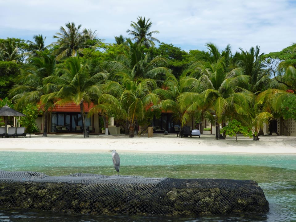 Beach Bungalow overlooking sea & beach Kurumba Maldives