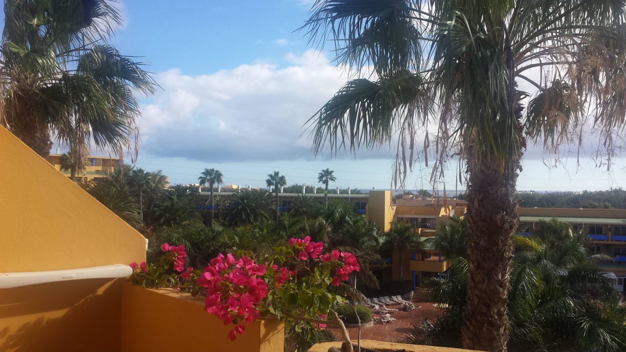 Blick vom Balkon Zimmer 505 Club Hotel Drago Park