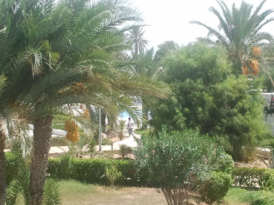 Von unserem Zimmer aus Hotel El Mouradi Djerba Menzel