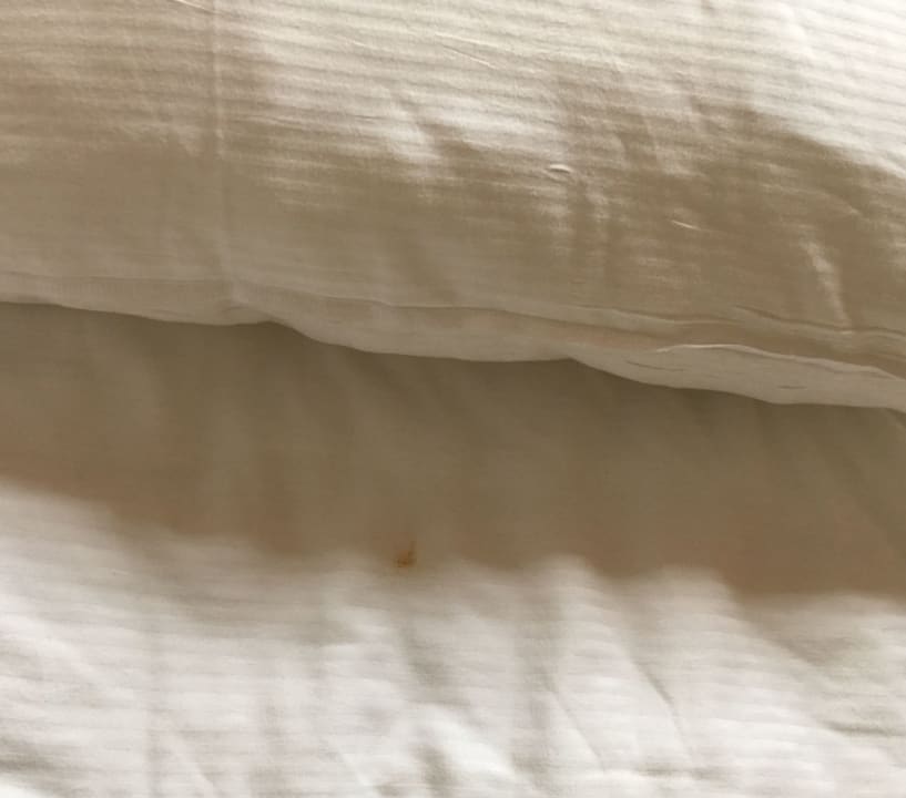 Zimmer Center Parcs Park Bostalsee