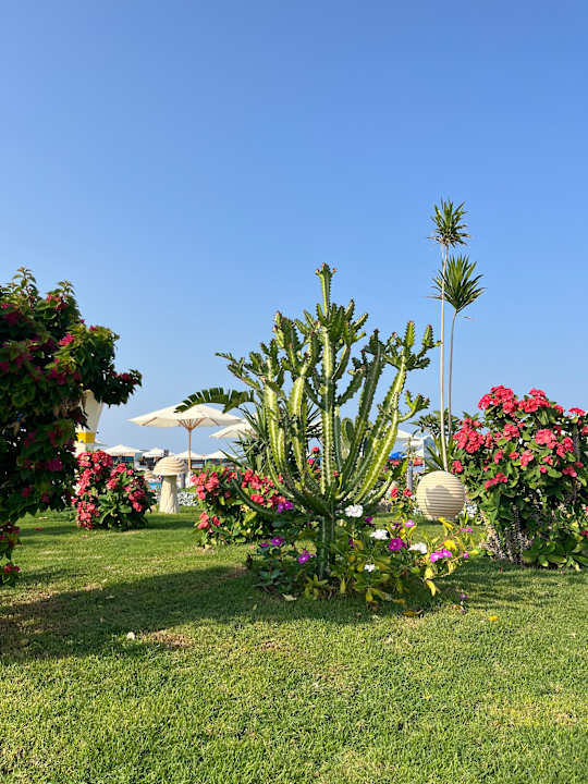 Außenansicht Rewaya Majestic Resort